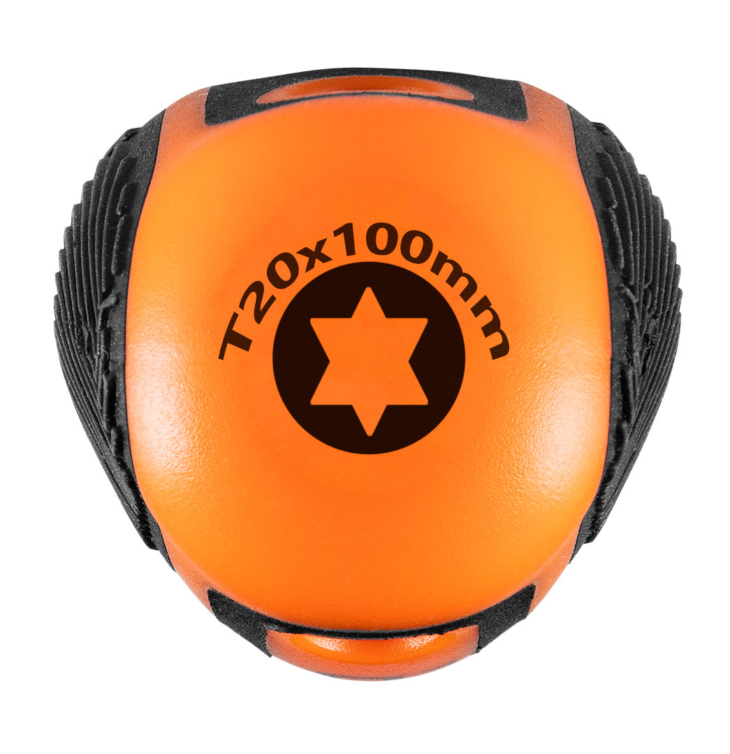 Skrutkovač Torx T20 x 100 mm od NEO TOOLS nájdeš na naravis.sk
