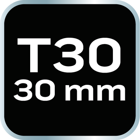 Koncovka TORX T30 x 30 mm, S2 x 2 ks. od NEO TOOLS nájdeš na naravis.sk