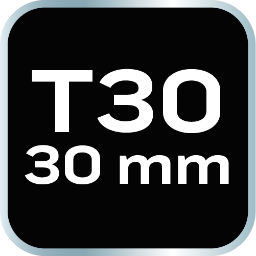 Koncovka TORX T30 x 30 mm, S2 x 2 ks. od NEO TOOLS nájdeš na naravis.sk