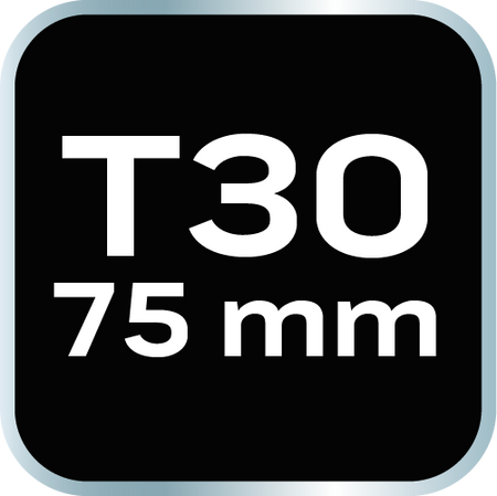 Koncovka TORX T30 x 75 mm, S2 x 2 ks. od NEO TOOLS nájdeš na naravis.sk