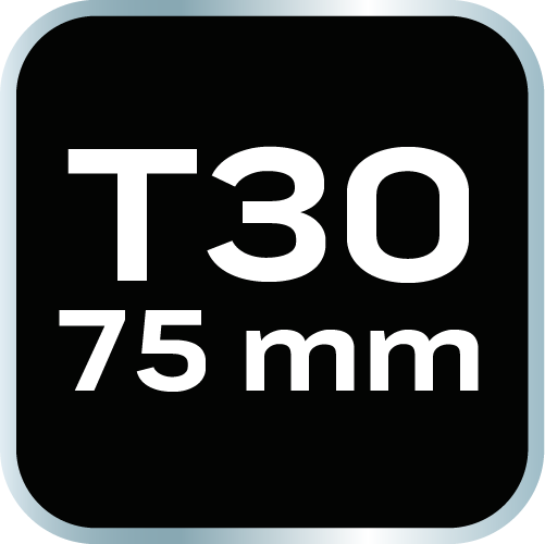 Koncovka TORX T30 x 75 mm, S2 x 2 ks. od NEO TOOLS nájdeš na naravis.sk