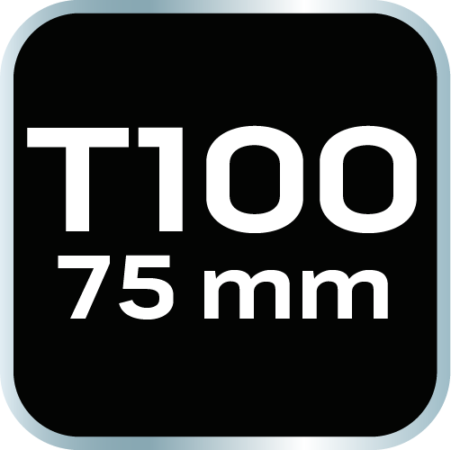 Koncovka TORX T100 x 75 mm, S2 x 2 ks. od NEO TOOLS nájdeš na naravis.sk