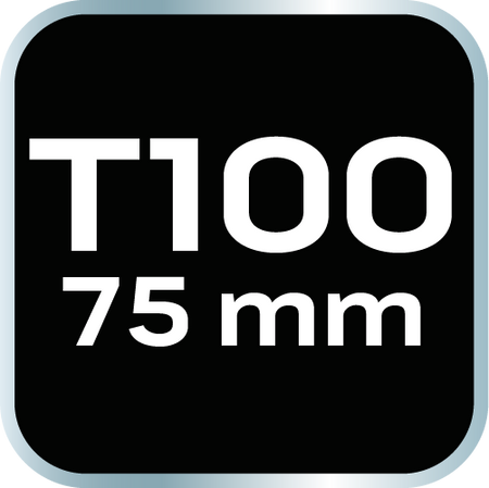 Koncovka TORX T100 x 75 mm, S2 x 2 ks. od NEO TOOLS nájdeš na naravis.sk