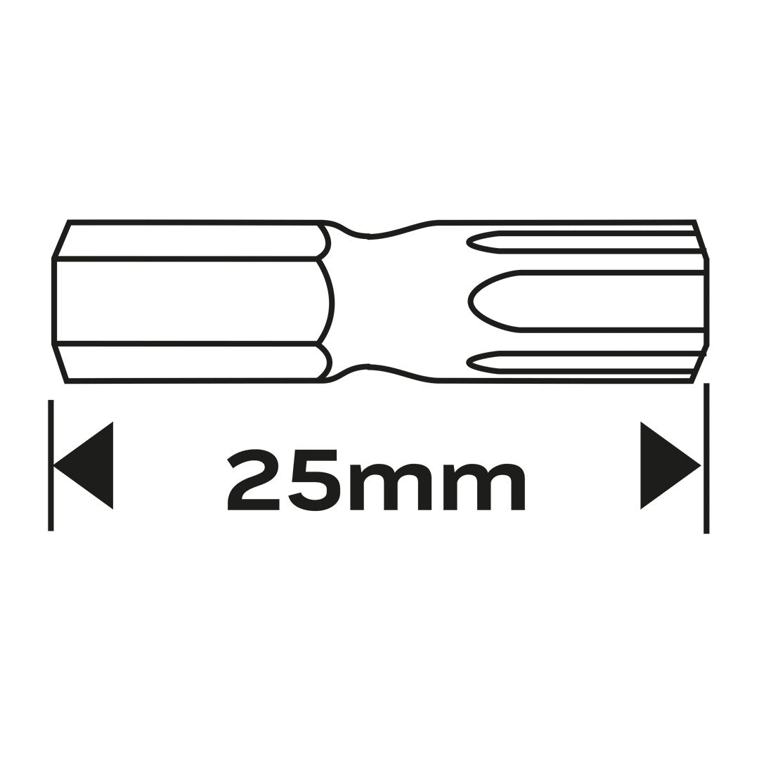Skrutkovacie bity TX27 x 25 mm, 2 ks. od NEO TOOLS nájdeš na naravis.sk